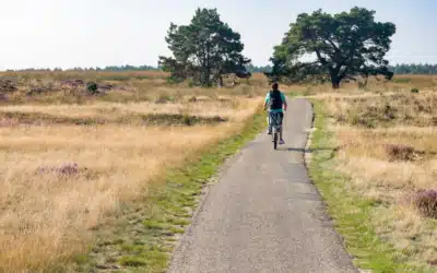 Constructieve overlegavond over verkeersmaatregelen 